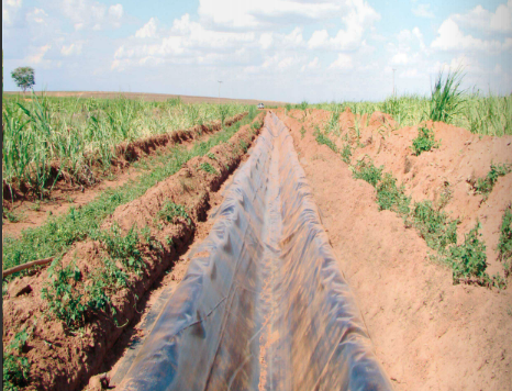 Sucroalcooleiro (Vinhaça)