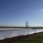 Lonas Preto/Branca e Preto/Prata