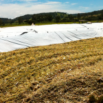 Lonas Preto/Branca e Preto/Prata
