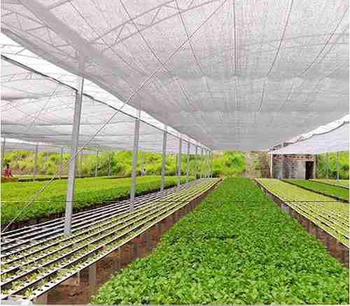 Sombrite Telas Pratas