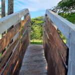 Tábuas de Borracha para Curral
