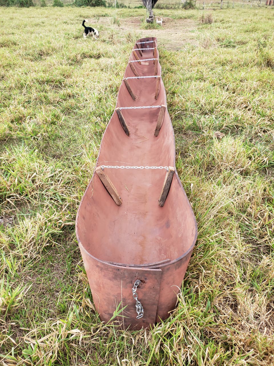 Borrachão para Cocheira