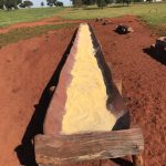 Borrachão para Cocho