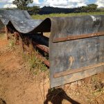 Borracha para Cobertura de Cochos