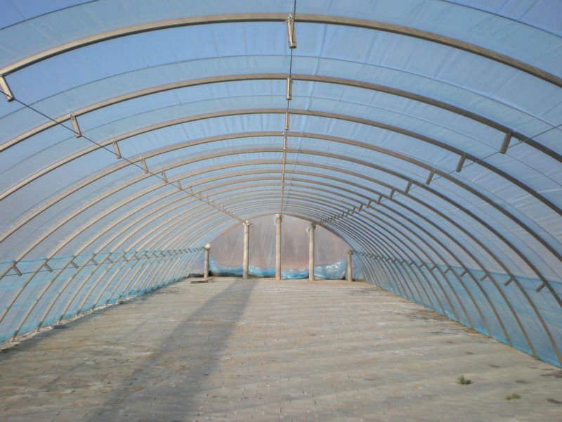 Filme – Difusor/Antivírus