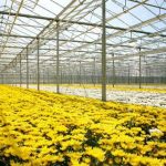 Filme – Difusor/Antivírus