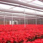 Filme – Difusor/Antivírus