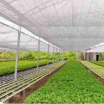 Sombrite Telas Pratas