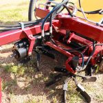 Taliscas de Borracha