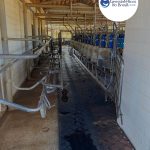 Piso para Currais, Ordenhas e Troncos