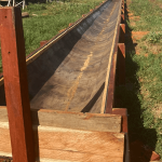 Borrachão para Cocho